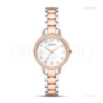 Montre Emporio Armani Cleo AR11499